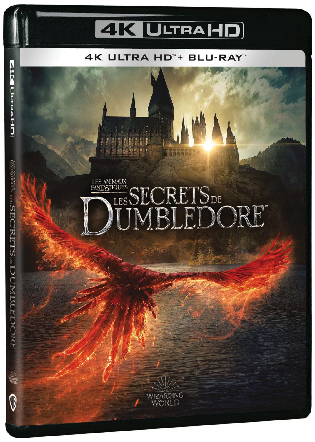Les Animaux fantastiques : Les Secrets de Dumbledore [DVD/Blu-ray/4K à la location] - flash vidéo