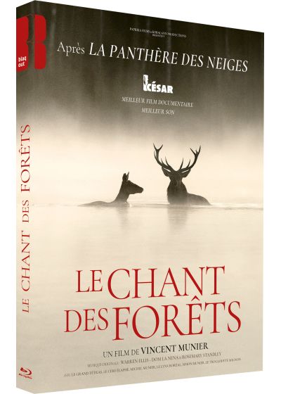 Le Chant des forêts [Blu-Ray]