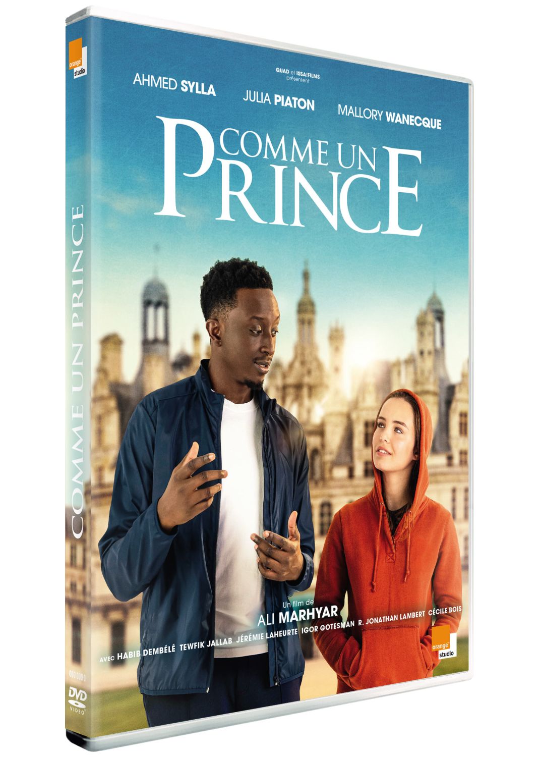 Comme un prince [DVD à la location] - flash vidéo
