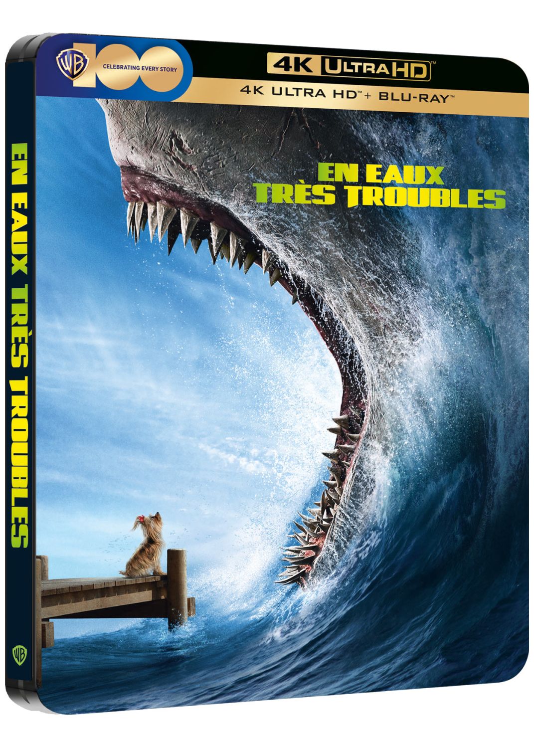 En eaux très troubles [DVD/Blu-ray/4K UHD à la location]