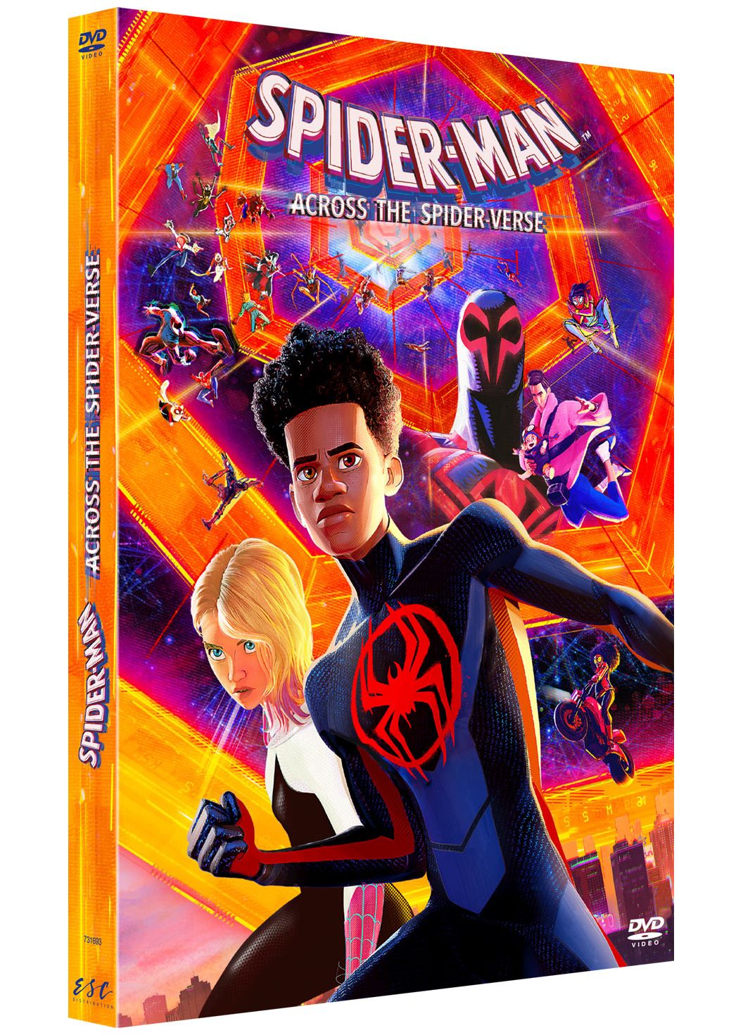 Spider-Man : Across the Spider-Verse [DVD/Blu-ray à la location]