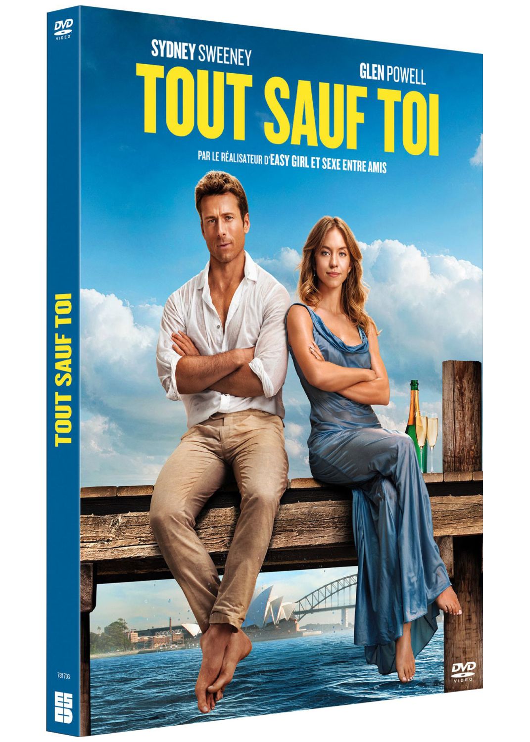 Tout sauf toi [DVD à la location] - flash vidéo
