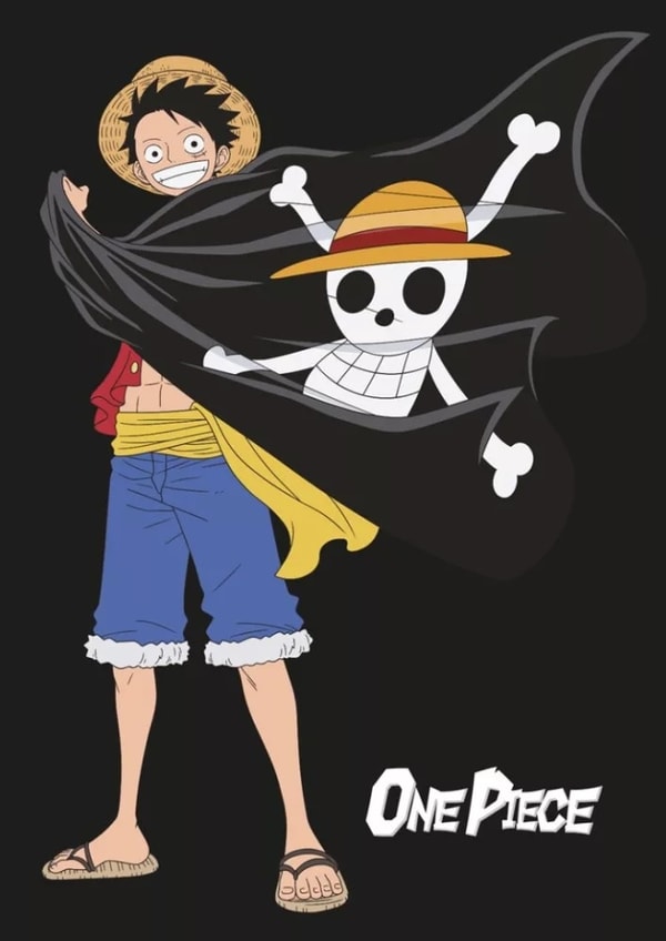 One Piece - Couverture en polaire Drapeau à tête de mort (100x140cm) - flash vidéo