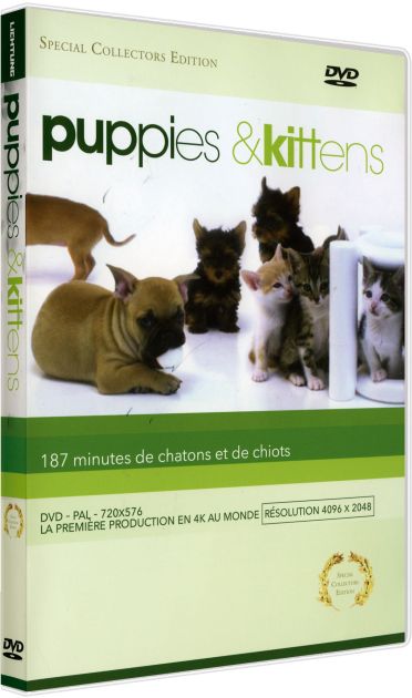 Puppies and kittens [DVD]