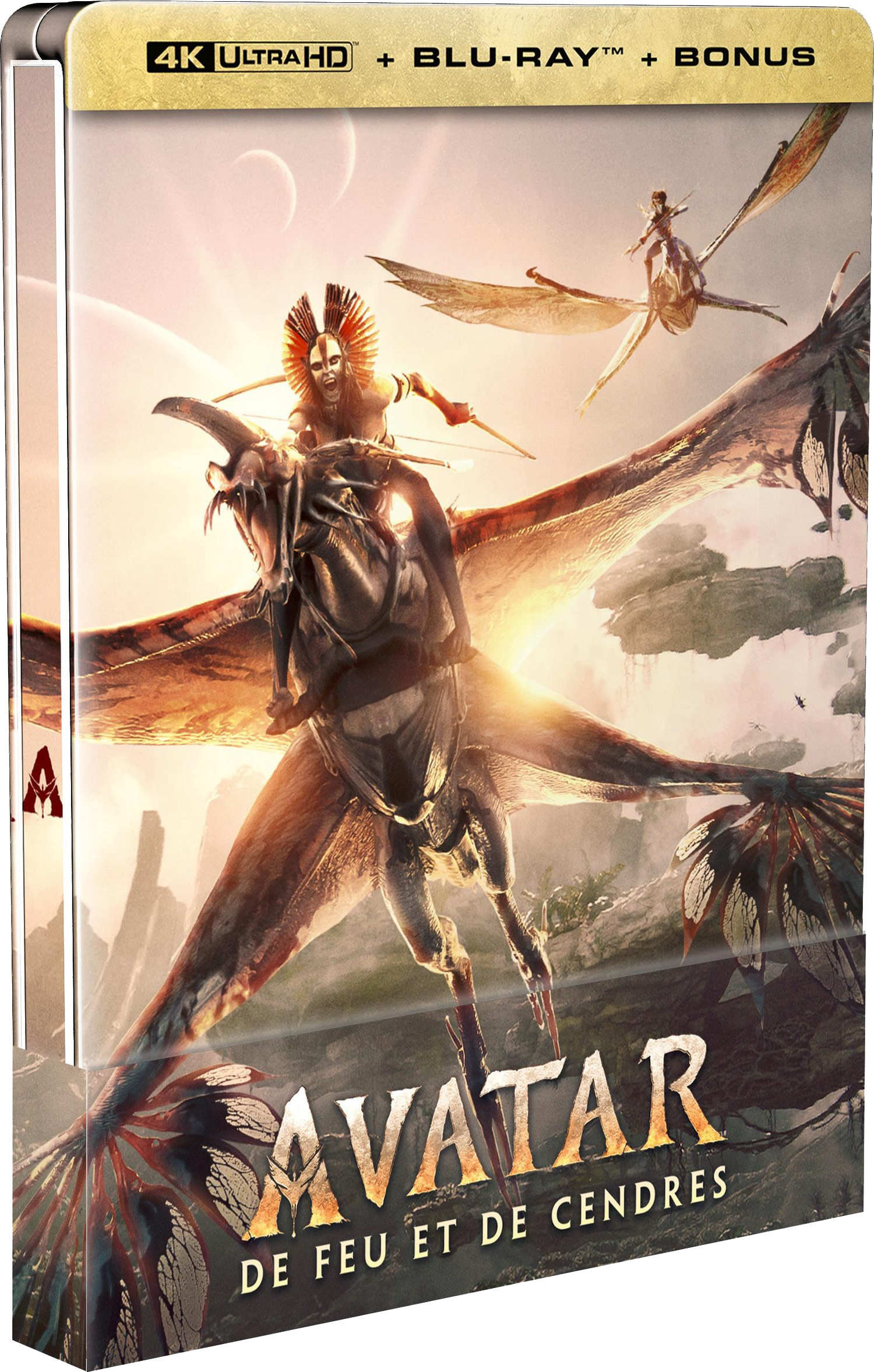 Avatar : de Feu et de Cendres [DVD/Blu-ray/4K UHD à la location]