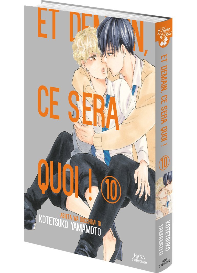 Et demain ce sera quoi ! - Tome 10 - Livre (Manga) - Yaoi - Hana Collection