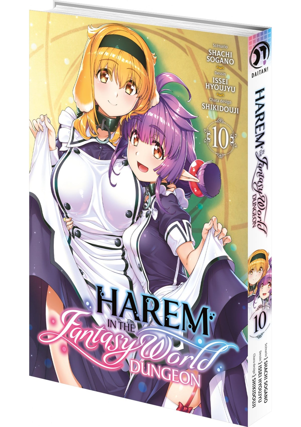 Harem in the Fantasy World Dungeon - Tome 10 - Livre (Manga)