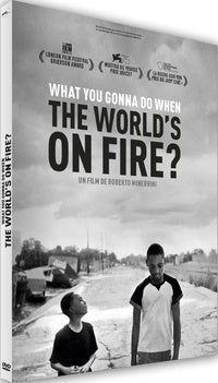 What You Gonna Do When the World's on Fire ? [DVD]