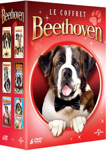 Beethoven - Le coffret [DVD]