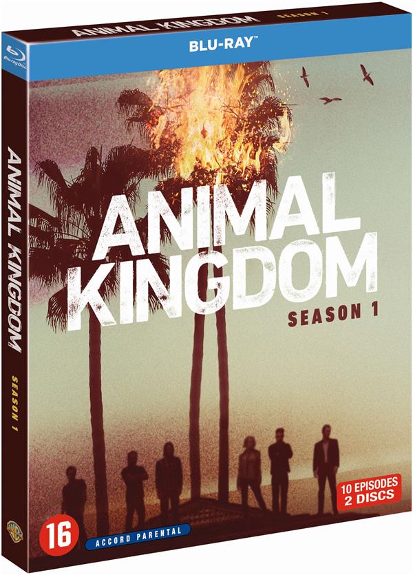 Animal Kingdom - Saison 1 [Blu-ray]