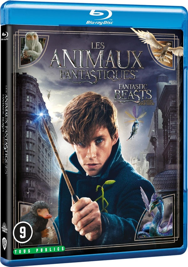 Les Animaux fantastiques [Blu-ray] - flash vidéo