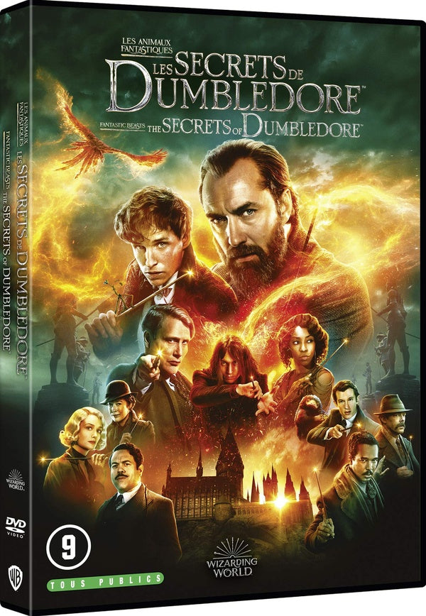 Les Animaux fantastiques : Les Secrets de Dumbledore [DVD] - flash vidéo