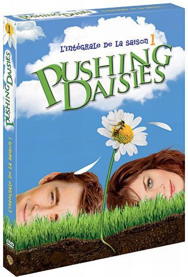 Pushing Daisies - Saison 1 [DVD] - flash vidéo