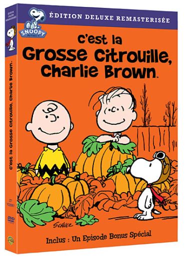 Snoopy - Grosse citrouille [DVD] - flash vidéo