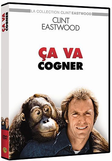 Ça va cogner ! [DVD] - flash vidéo