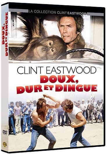 Doux, dur et dingue [DVD] - flash vidéo