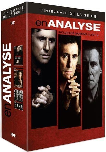 En analyse - L'intégrale de la série [DVD]