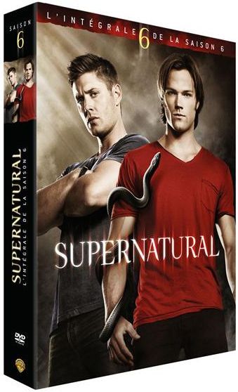 Supernatural - Saison 6 [DVD] - flash vidéo