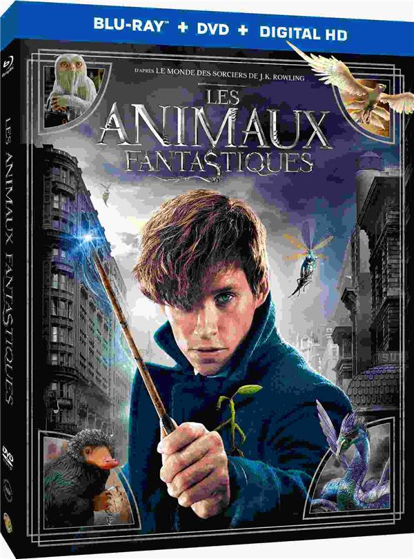 Les animaux fantastiques [Blu-ray] - flash vidéo