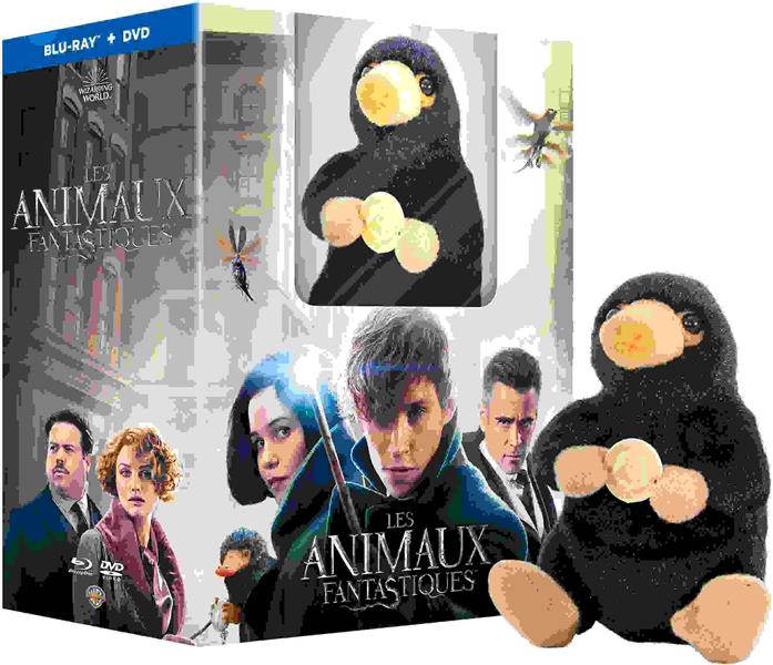 Les Animaux fantastiques [Blu-ray] - flash vidéo