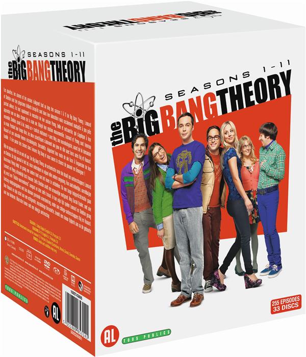 The Big Bang Theory - Saisons 1 à 11 [DVD]