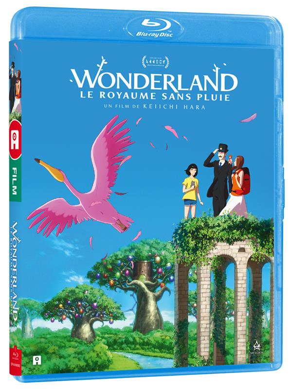Wonderland, le royaume sans pluie [Blu-ray] - flash vidéo