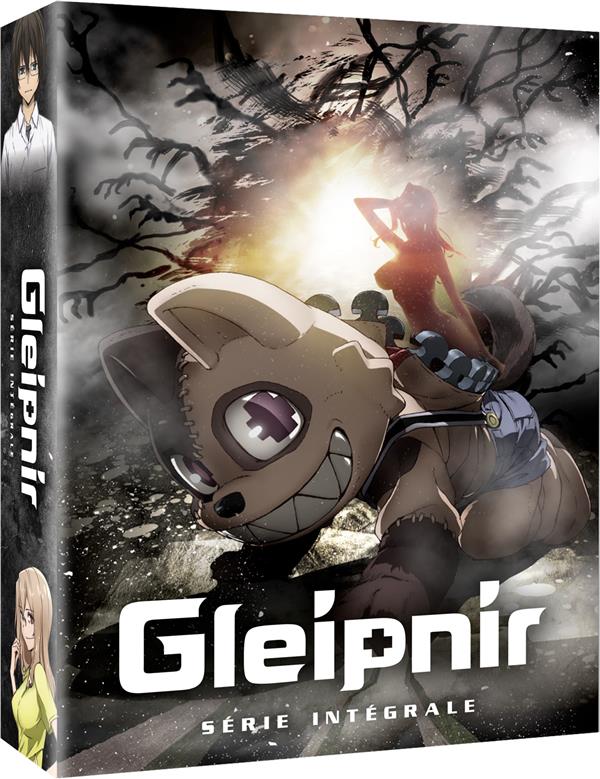 Gleipnir - Série intégrale [DVD] - flash vidéo