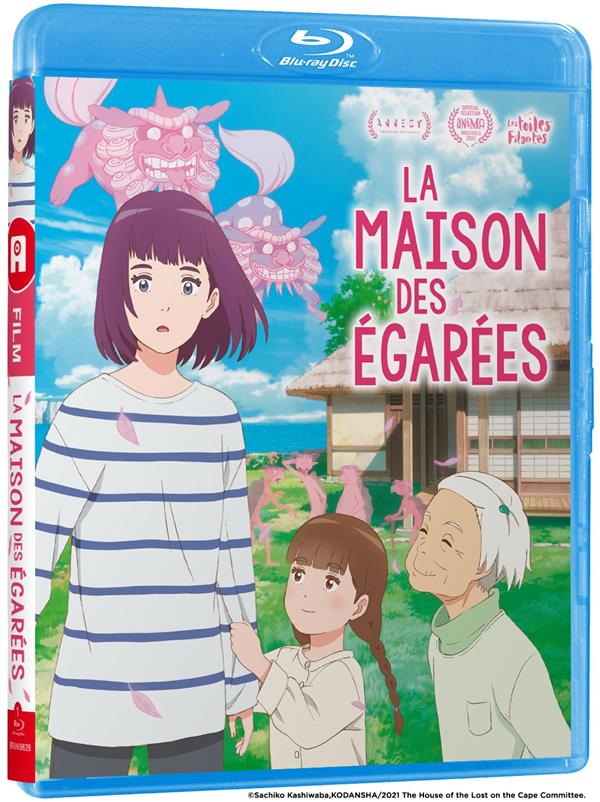 La Maison des égarées [Blu-ray] - flash vidéo