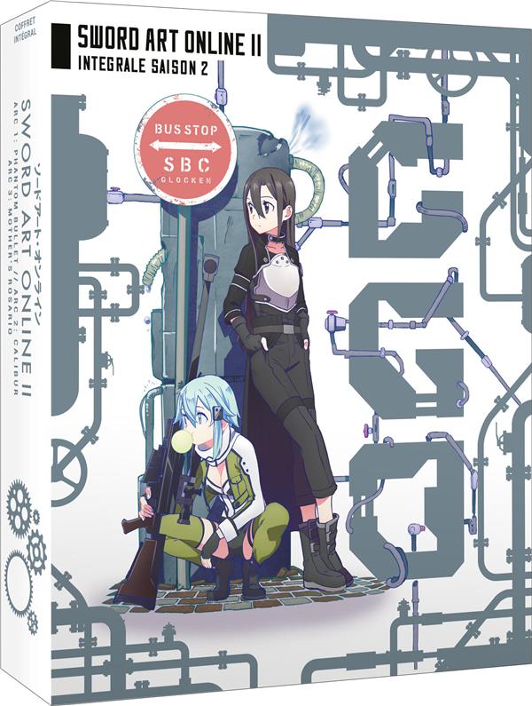 Sword Art Online - Saison 2 [DVD] - flash vidéo