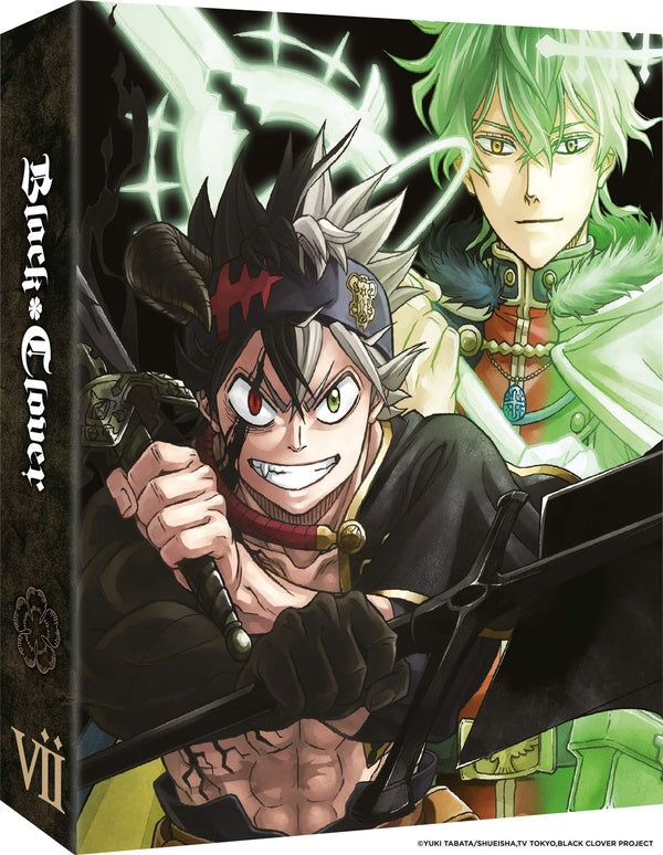 Black Clover - Saison 4 [DVD] - flash vidéo