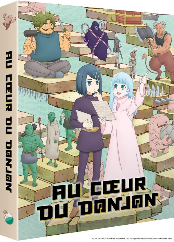 Au coeur du donjon [DVD]
