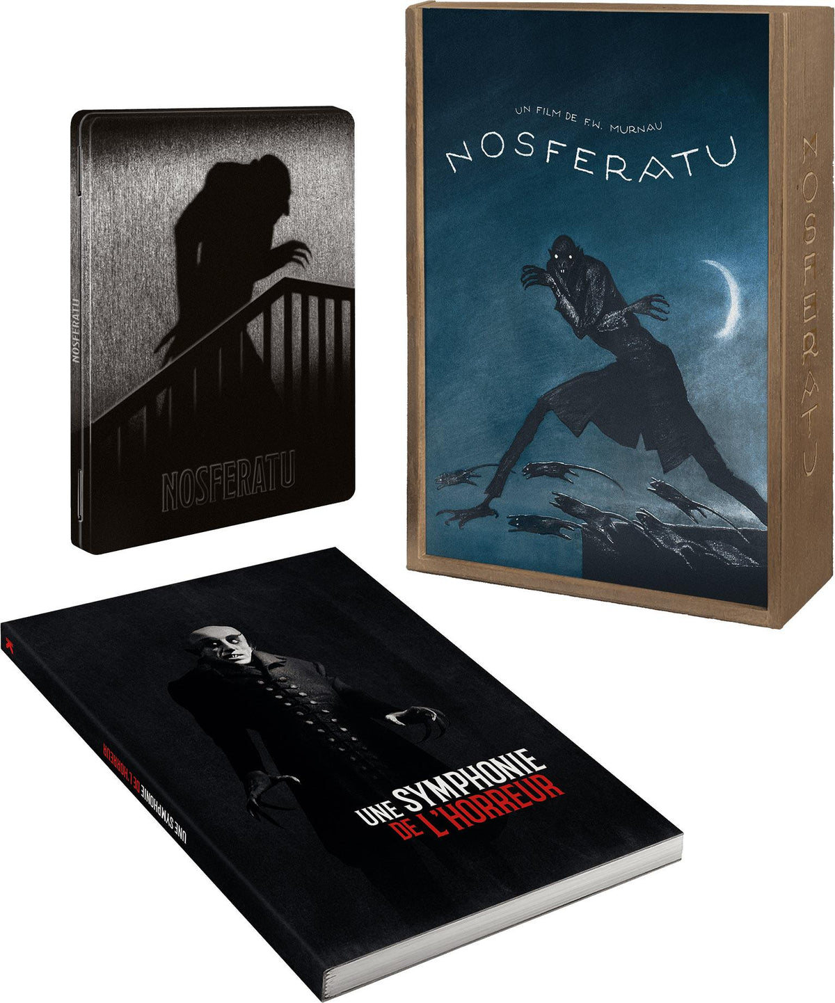 Nosferatu, une symphonie de l'horreur [Blu-ray]