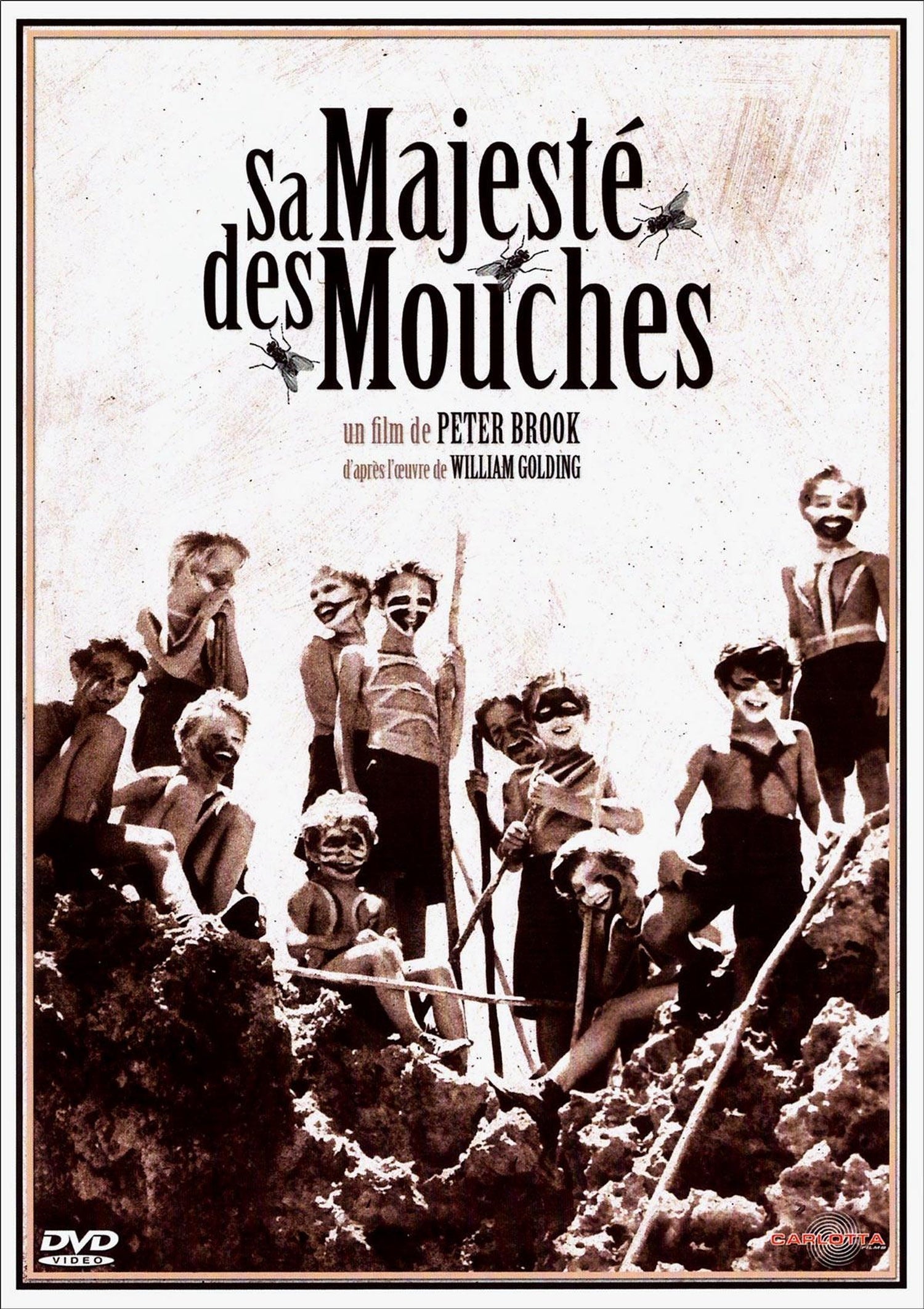 Sa majesté des mouches [DVD]