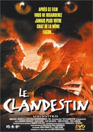 Le Clandestin (1988) [DVD] - flash vidéo