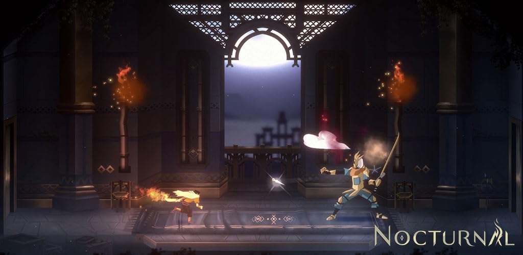 Nocturnal - flash vidéo
