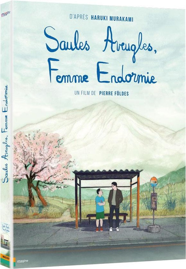 Saules aveugles, femme endormie [DVD] - flash vidéo
