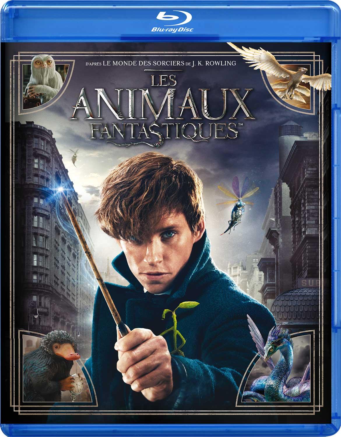Les Animaux fantastiques [Blu-ray]
