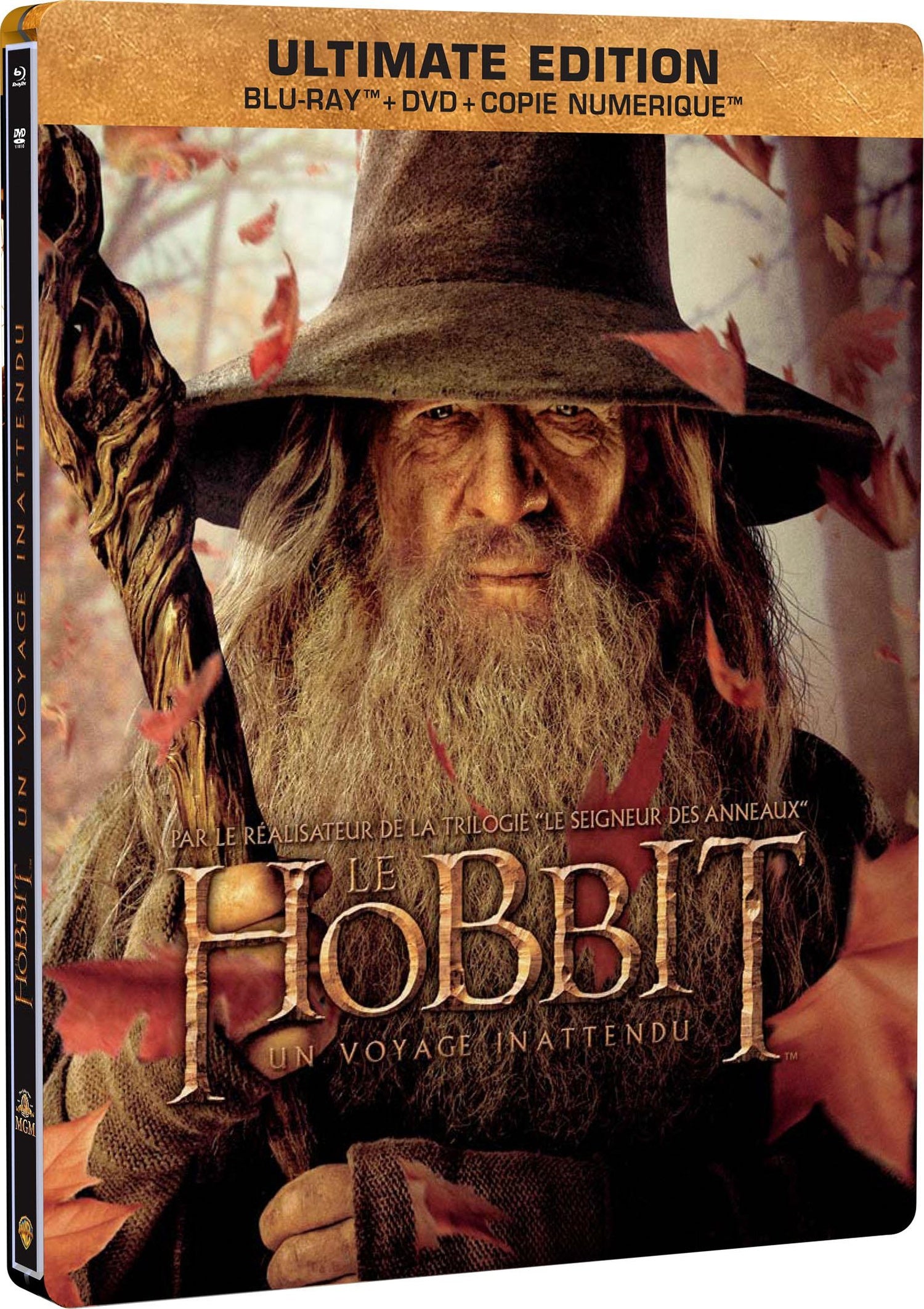 Le Hobbit : Un voyage inattendu [Blu-ray]