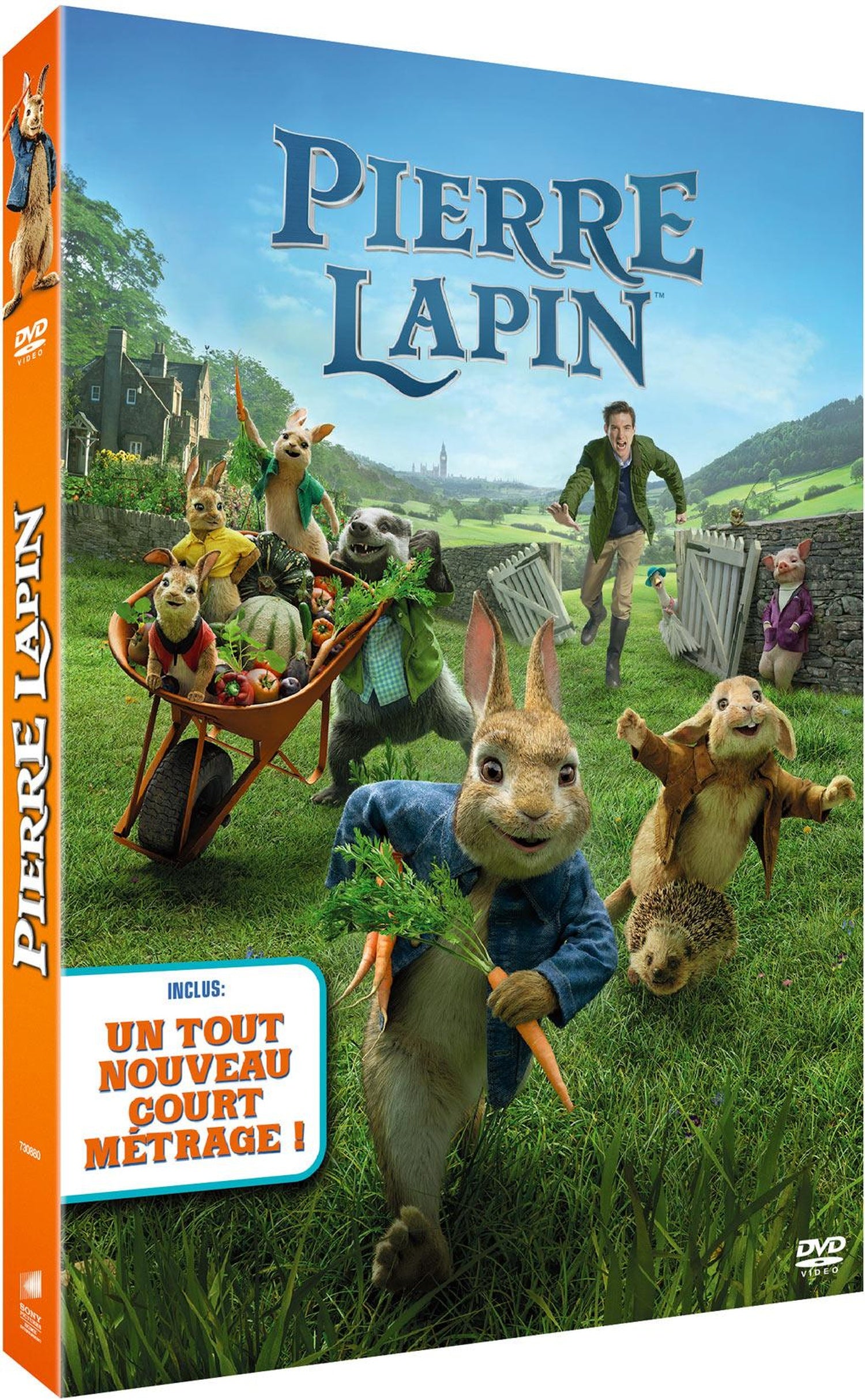 Pierre Lapin [DVD]