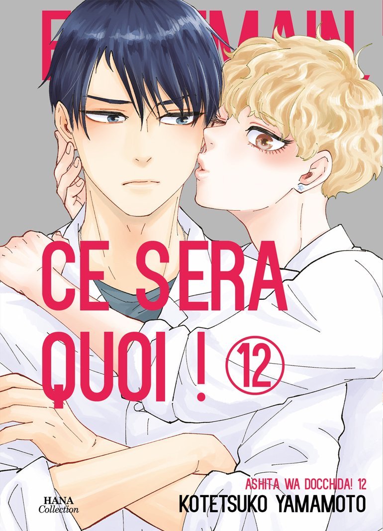 Et demain ce sera quoi ! - Tome 12 - Livre (Manga) - Yaoi - Hana Collection
