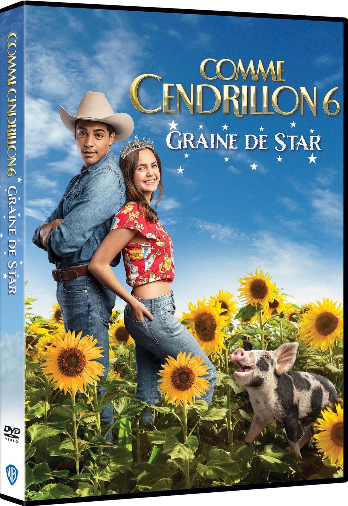 Comme Cendrillon 6 : Des étoiles plein des yeux [DVD]