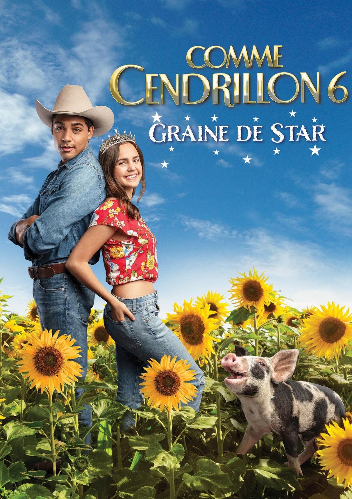 Comme Cendrillon 6 : Des étoiles plein des yeux [DVD]