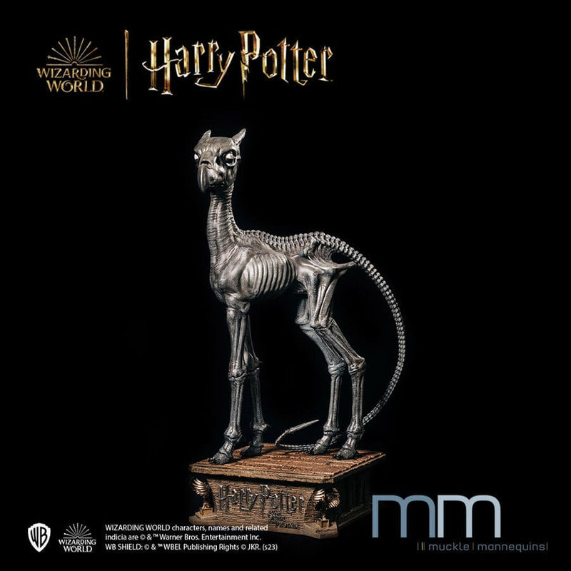 Harry Potter et l'Ordre du Phénix - Statue taille réelle Sombral (Base incluse)