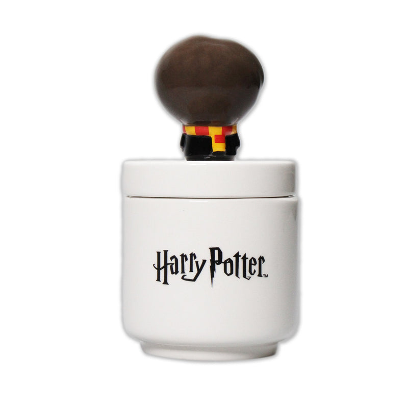 Harry Potter - Boîte de rangement de collection en céramique Harry Kawaii