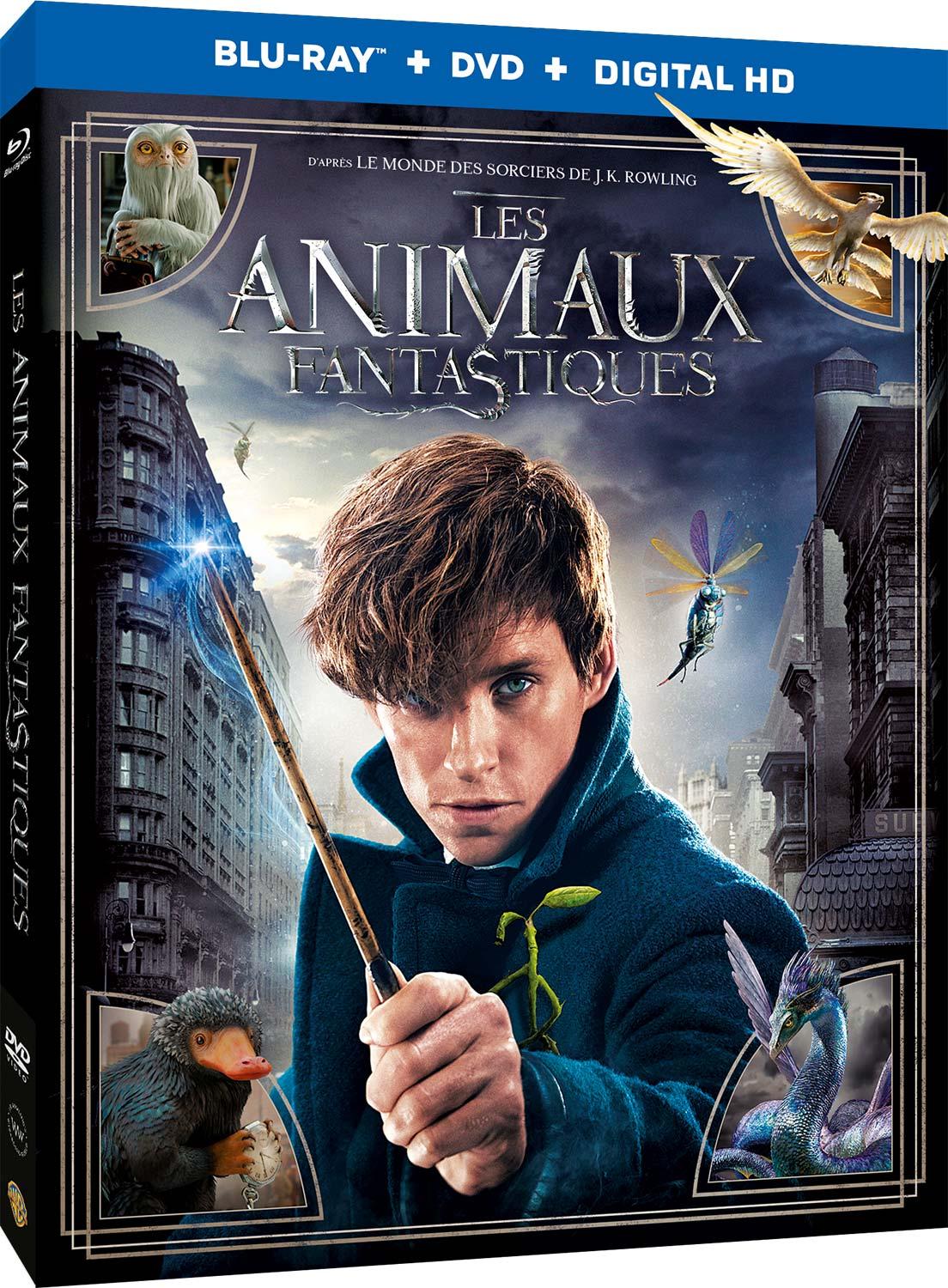 Les Animaux fantastiques [Blu-ray]