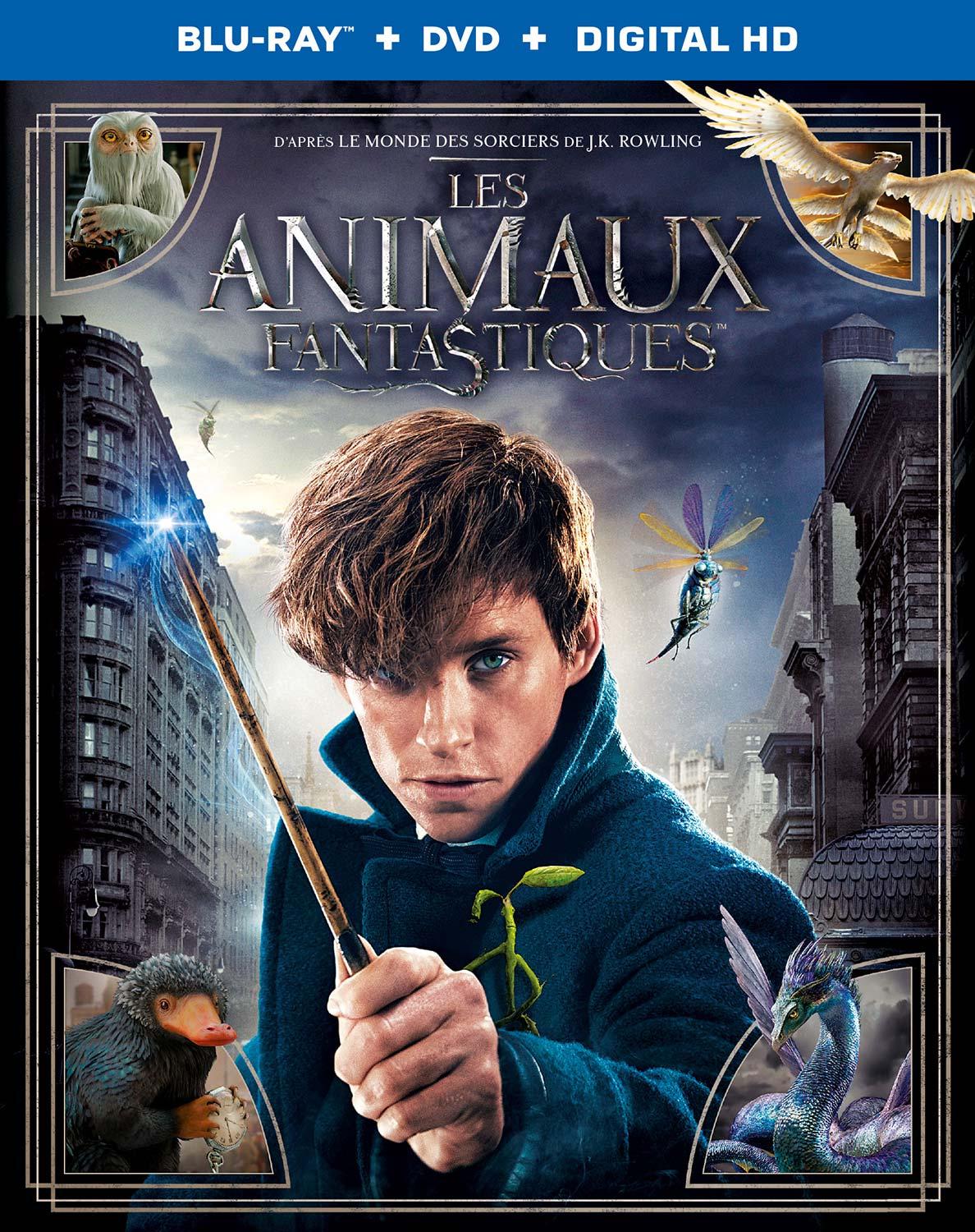 Les Animaux fantastiques [Blu-ray]