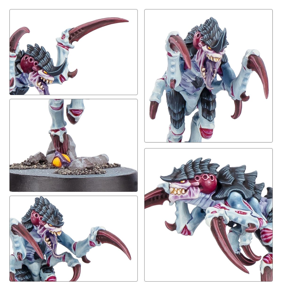 Kill Team: Typhon (Anglais)