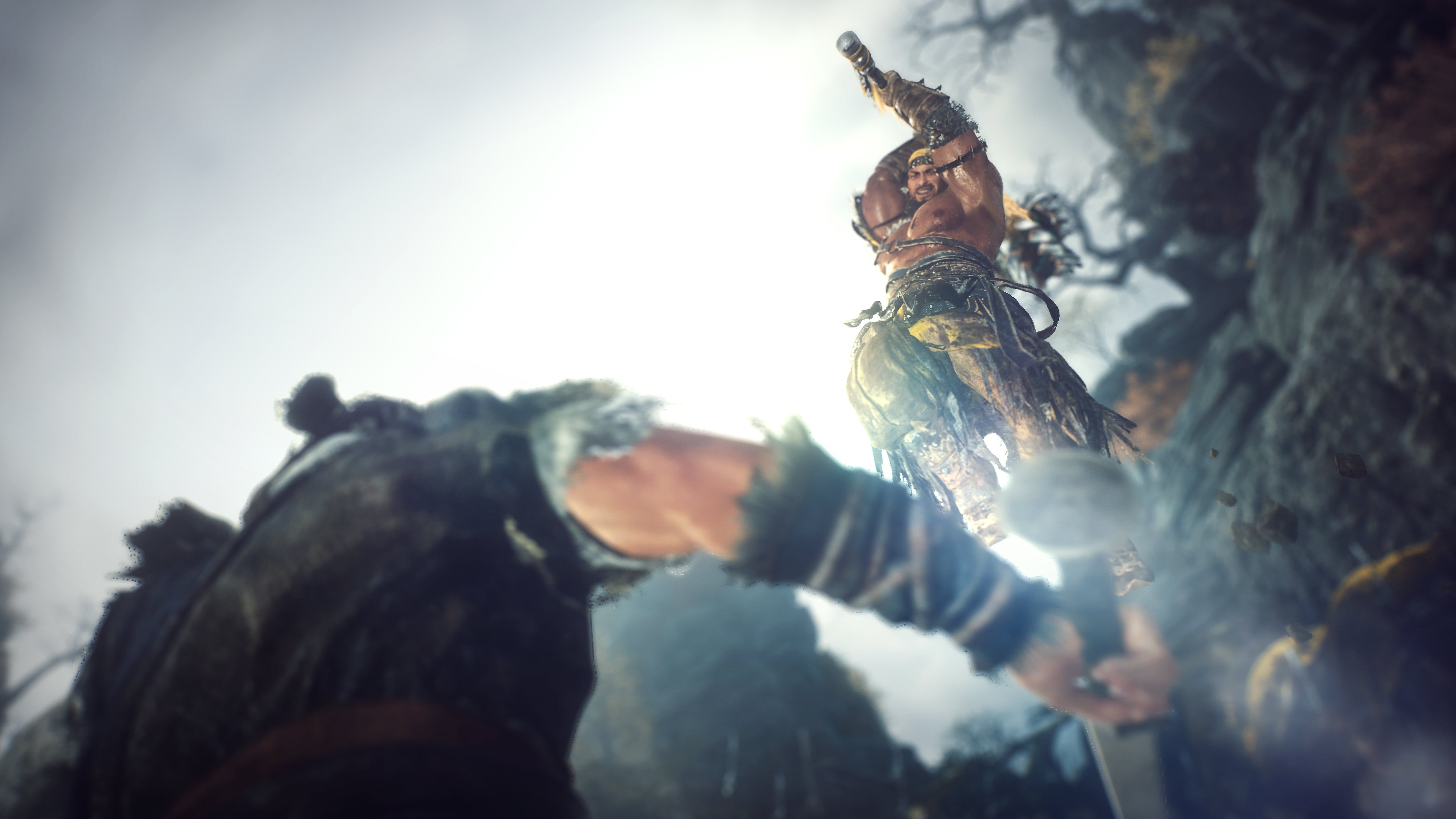 Wo Long : Fallen Dynasty