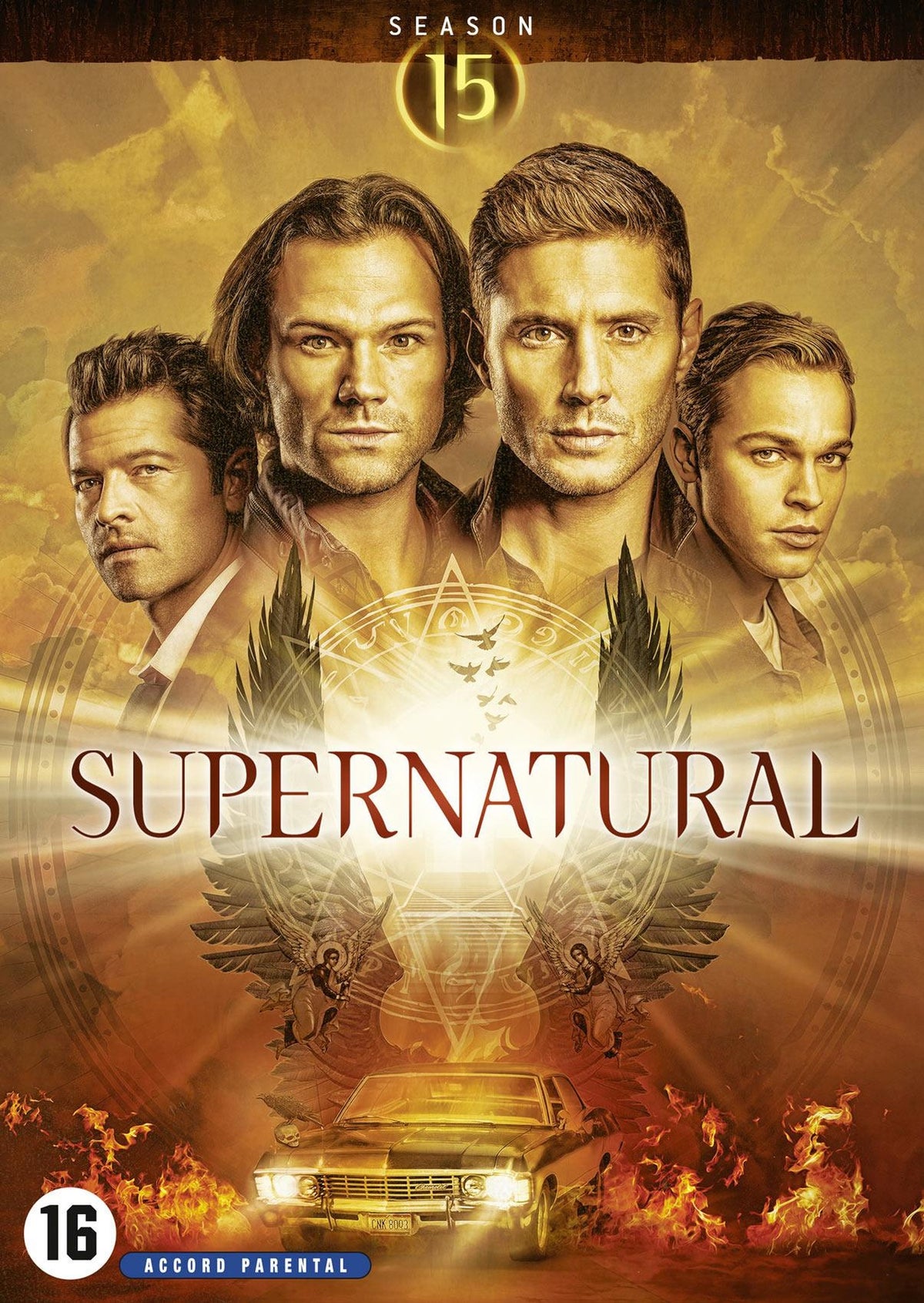 Supernatural - Saison 15 [DVD]
