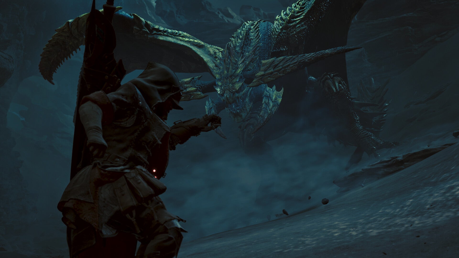 Monster Hunter Wilds (Code-in-a-box) - flash vidéo
